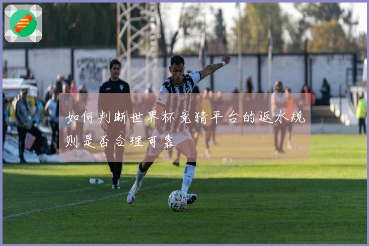 如何判断世界杯竞猜平台的返水规则是否合理可靠