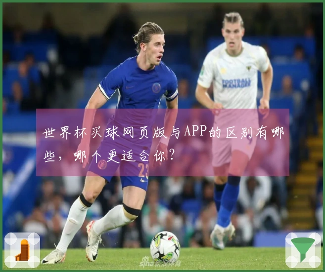 世界杯买球网页版与APP的区别有哪些，哪个更适合你？
