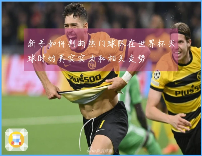 新手如何判断热门球队在世界杯买球时的真实实力和相关走势