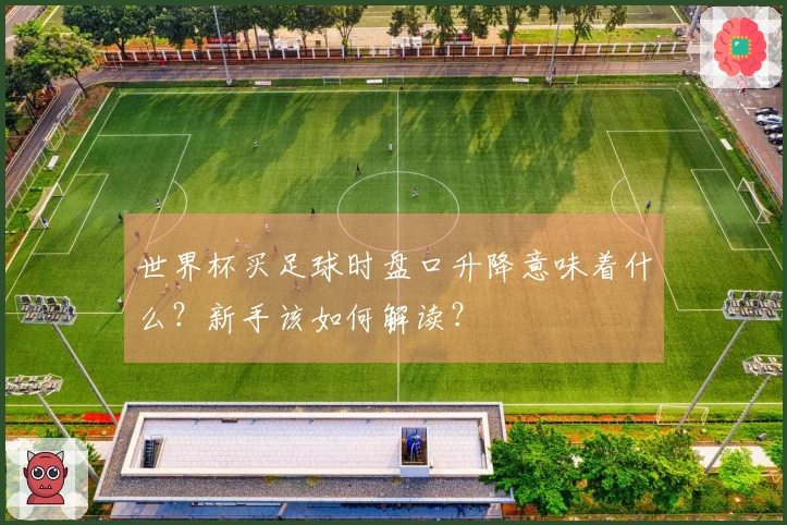世界杯买足球时盘口升降意味着什么？新手该如何解读？