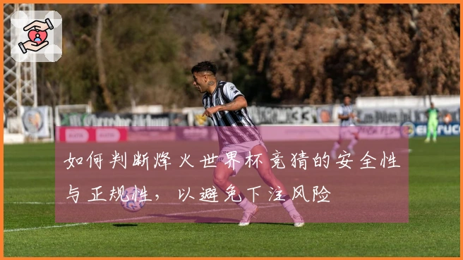 如何判断烽火世界杯竞猜的安全性与正规性,以避免下注风险