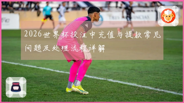 2026世界杯投注中充值与提款常见问题及处理流程详解