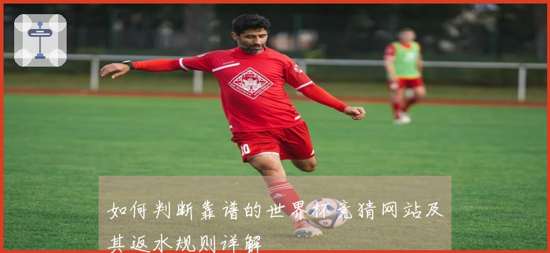 如何判断靠谱的世界杯竞猜网站及其返水规则详解