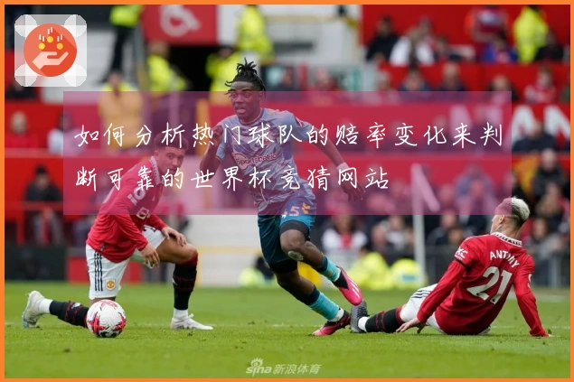 如何分析热门球队的赔率变化来判断可靠的世界杯竞猜网站