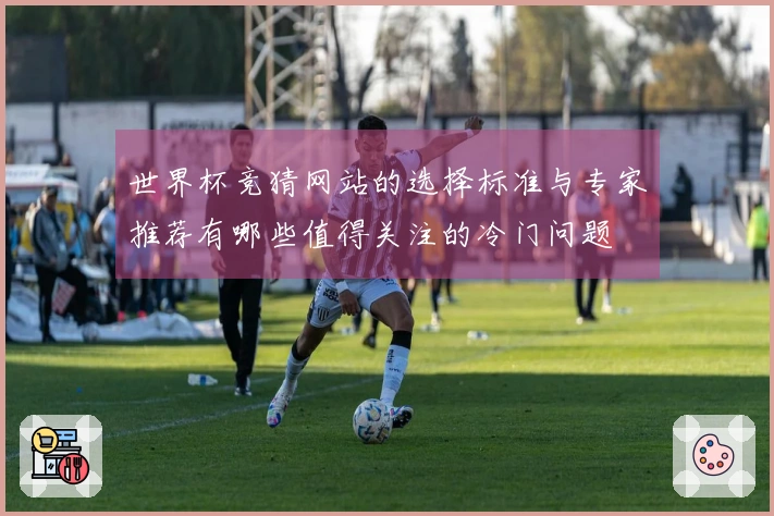 世界杯竞猜网站的选择标准与专家推荐有哪些值得关注的冷门问题