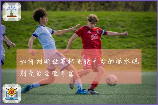 如何判断世界杯竞猜平台的返水规则是否合理可靠