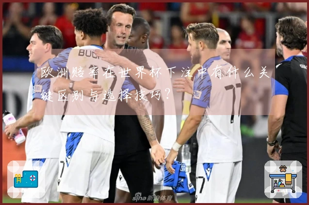 欧洲赔率在世界杯下注中有什么关键区别与选择技巧？