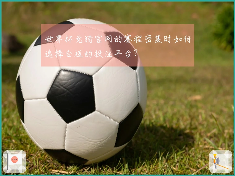世界杯竞猜官网的赛程密集时如何选择合适的投注平台？