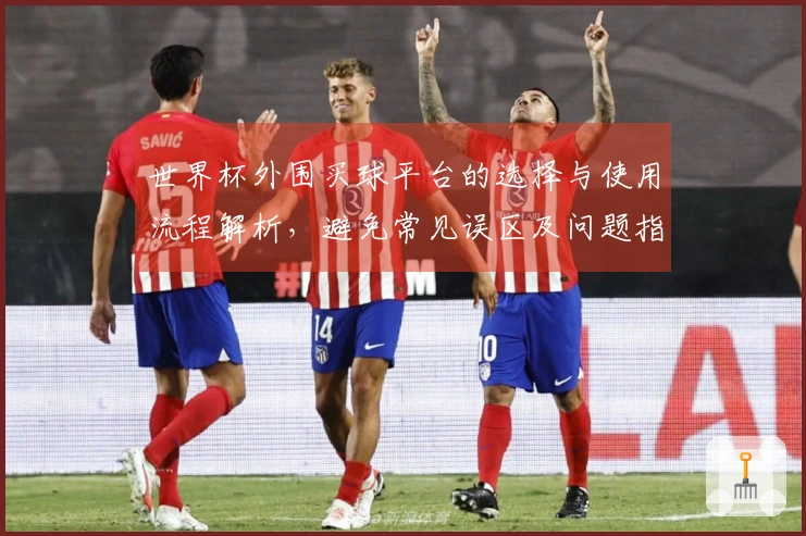 世界杯外围买球平台的选择与使用流程解析，避免常见误区及问题指南