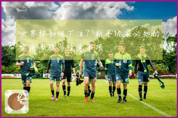 世界杯如何下注？新手玩家必知的实用步骤与注意事项