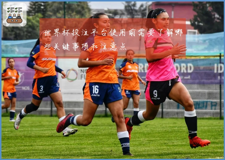 世界杯投注平台使用前需要了解哪些关键事项和注意点