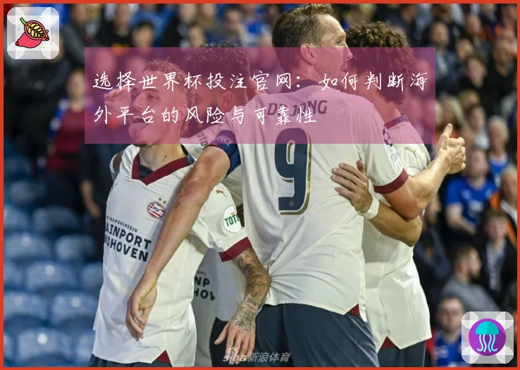 选择世界杯投注官网：如何判断海外平台的风险与可靠性