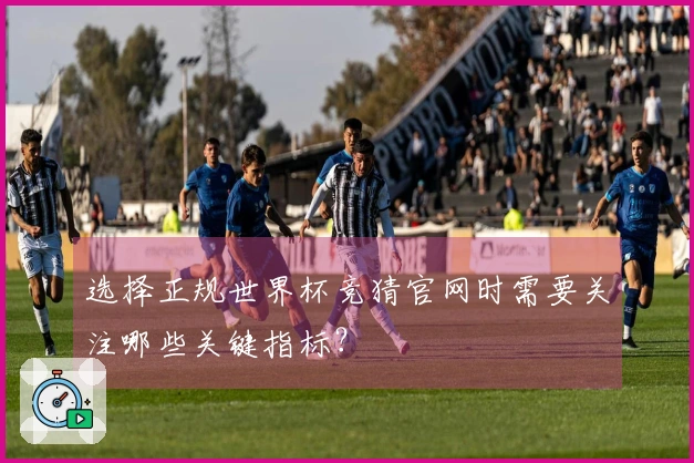 选择正规世界杯竞猜官网时需要关注哪些关键指标？