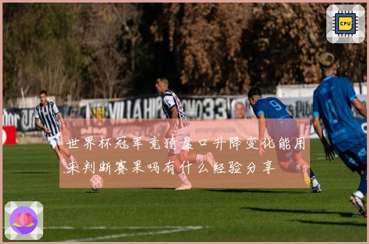 世界杯冠军竞猜盘口升降变化能用来判断赛果吗有什么经验分享