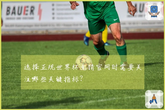 选择正规世界杯竞猜官网时需要关注哪些关键指标？