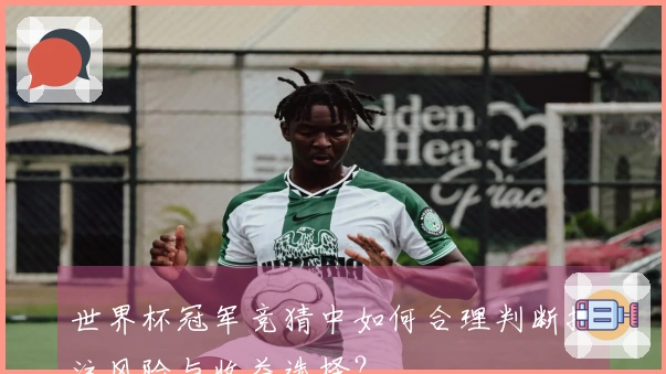 世界杯冠军竞猜中如何合理判断投注风险与收益选择?