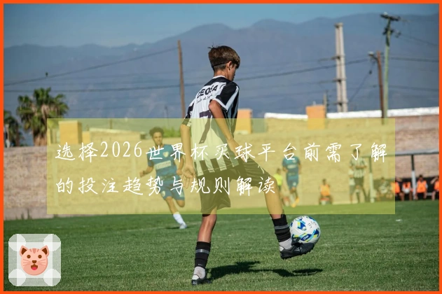 选择2026世界杯买球平台前需了解的投注趋势与规则解读