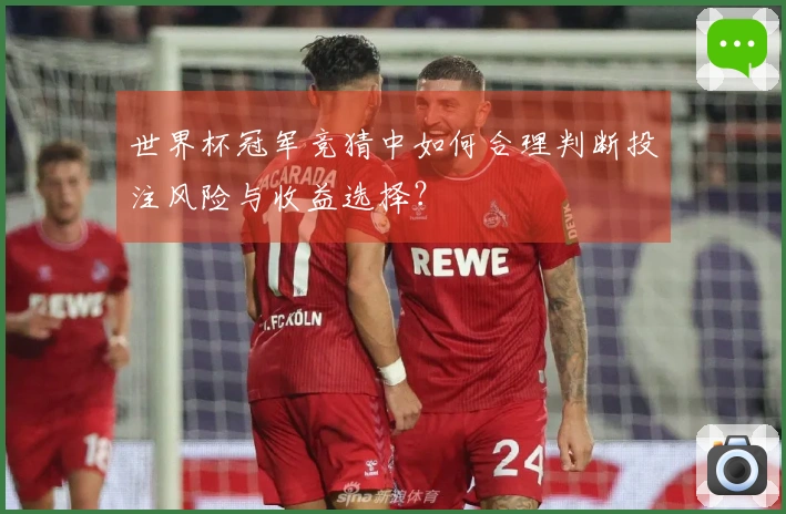 世界杯冠军竞猜中如何合理判断投注风险与收益选择？