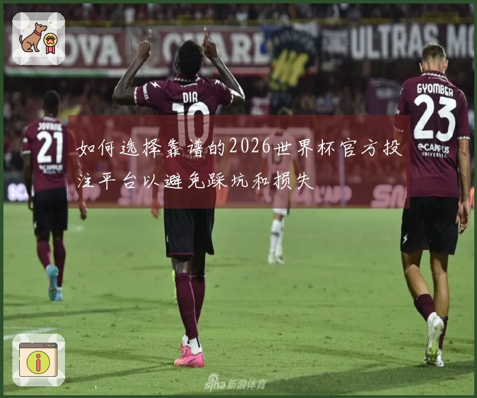 如何选择靠谱的2026世界杯官方投注平台以避免踩坑和损失
